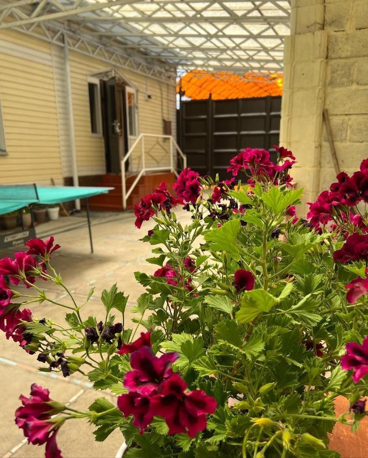 Hostel My House Karakol Dış mekan fotoğraf